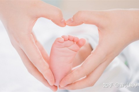 http://chengdu.51dzb.net/post/188.html|成都新闻中心